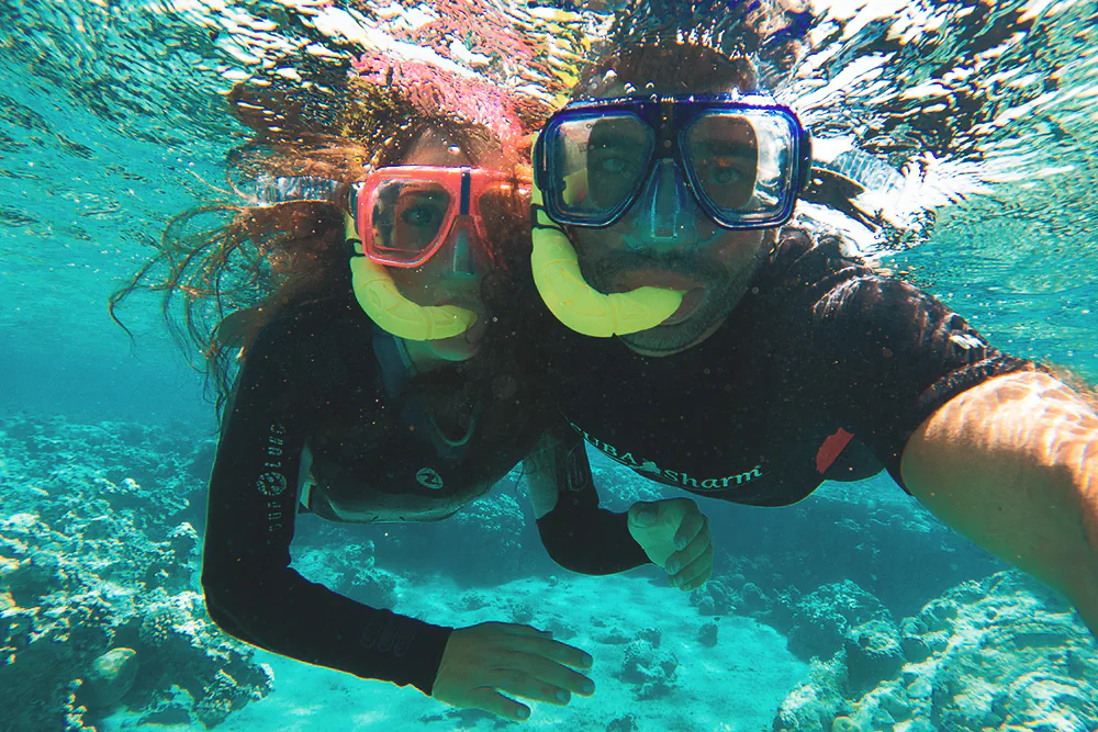 Snorkeling in the Red Sea