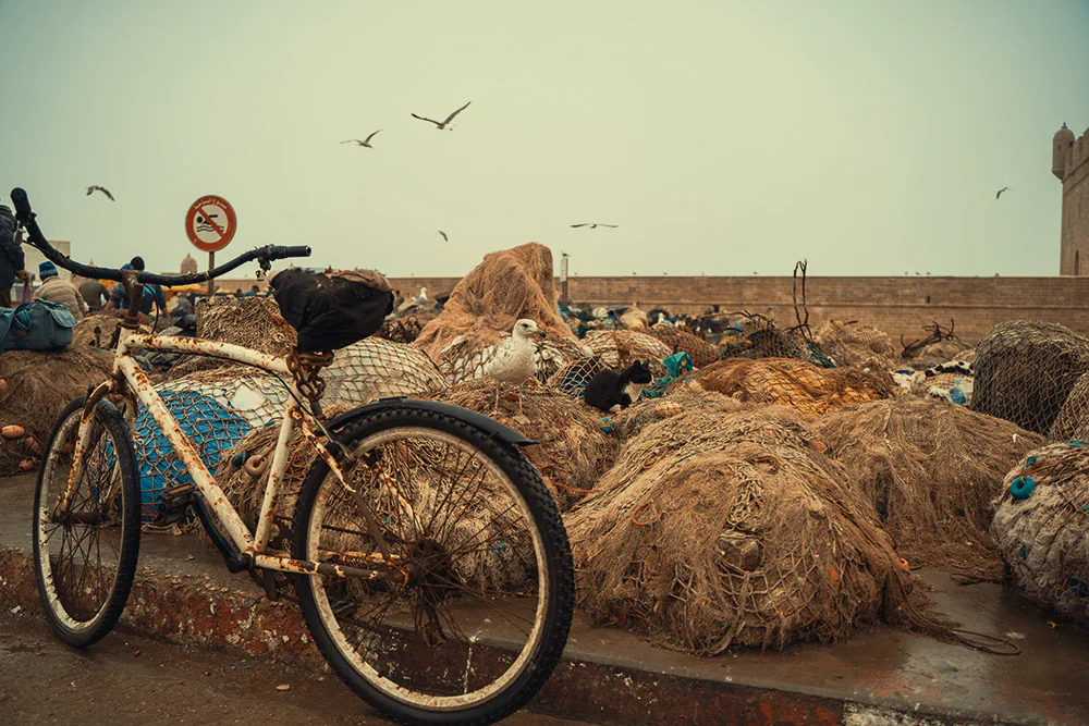 The fish market of Essaouira