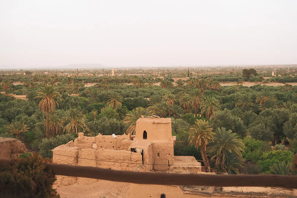 Skoura palm groves